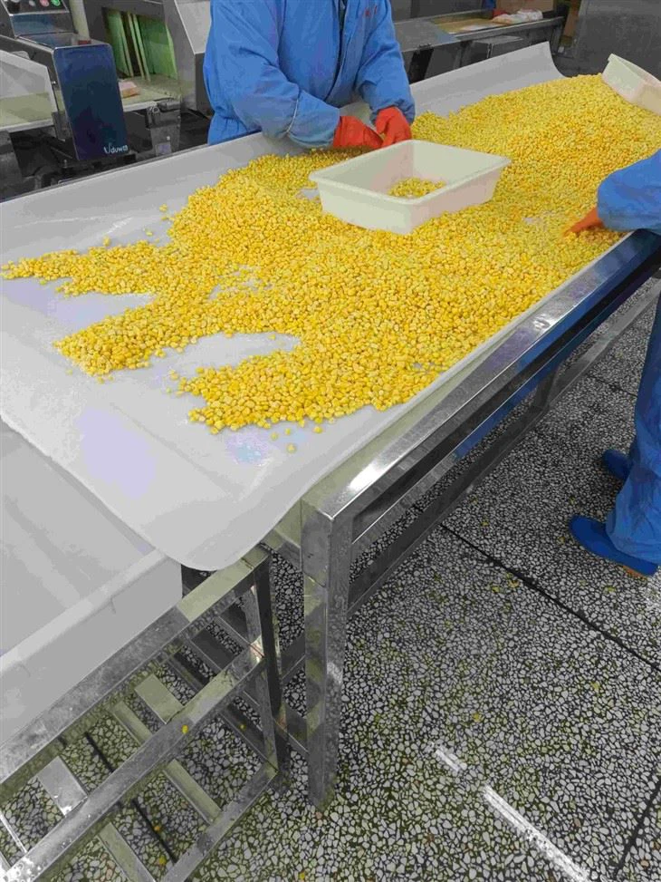 IQF FROZEN SWEEK CORN KERNELS